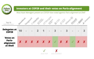 COP29: asset managers’ votes at Big Oil undermine their climate credibility in Baku